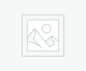 Uncategorized
